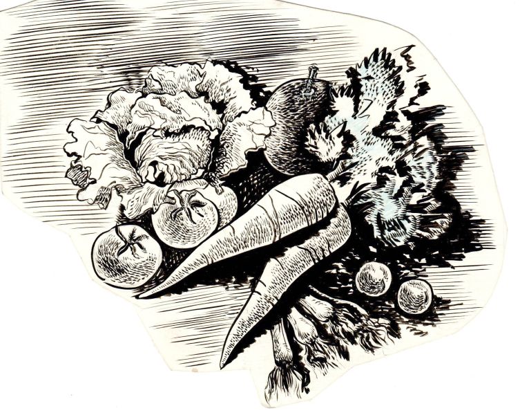 File:Artwork vegetable.jpg